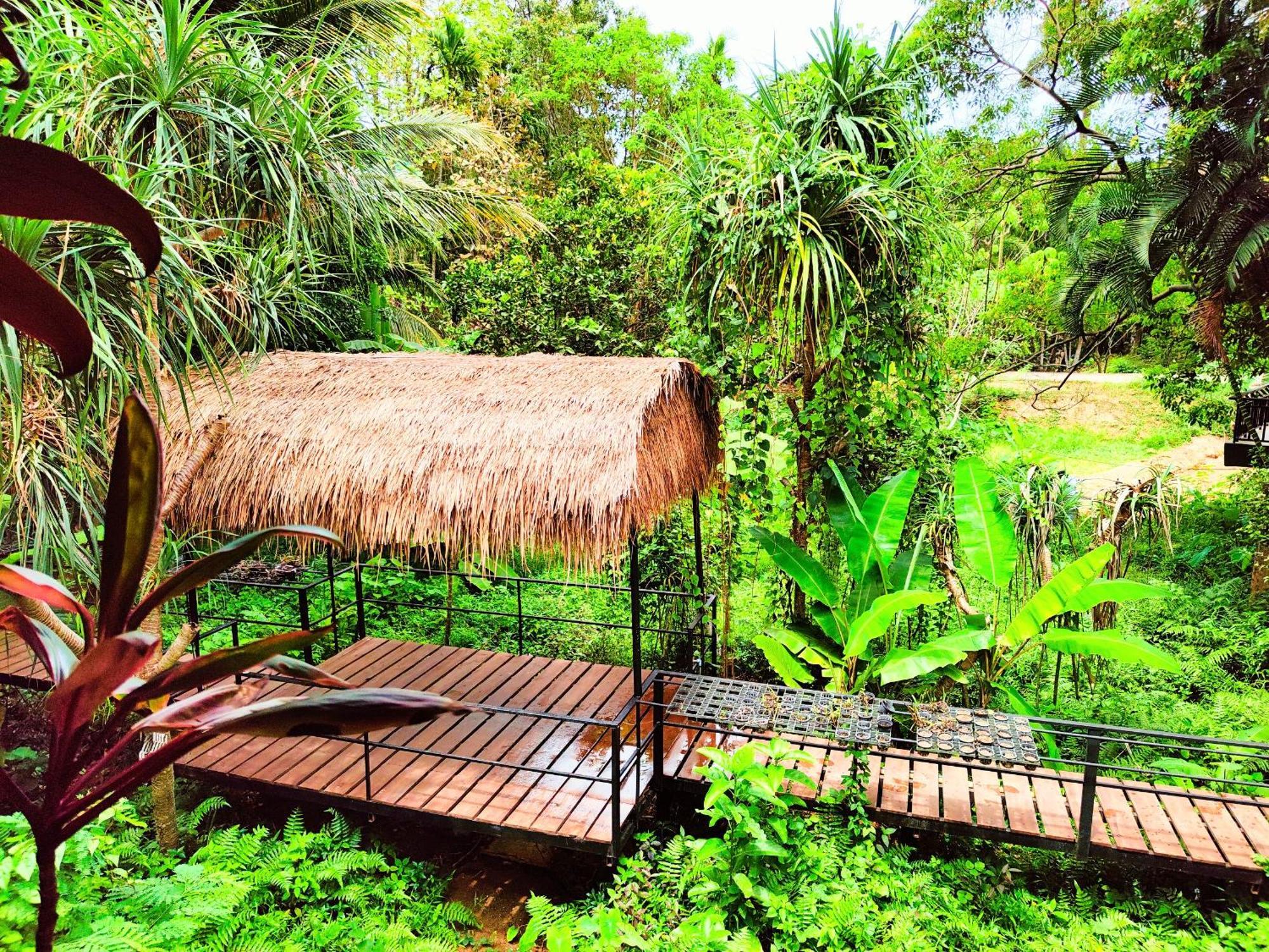 Phuket Jungle Experience Resort Karon 외부 사진